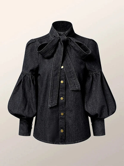 Denim Puff Sleeve High Neck Top
